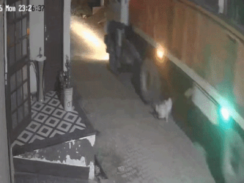रोहतक में ट्रक ने दुकानदार को कुचला, मौत:सिर के ऊपर से गुजरे टायर; हादसे का CCTV आया सामने