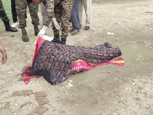 आर्मी के ट्रक ने 5वीं की छात्रा को कुचला:जालंधर में स्कूल के बाहर बस के इंतजार में खड़ी थी, सिर के ऊपर से निकला पहिया