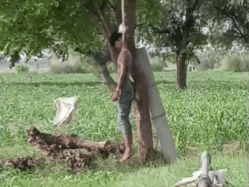 नारनौल में पेड़ से लटका मिला युवक का शव:राजस्थान का था रहने वाला, मामा के गांव में आकर लगाया फांसी का फंदा