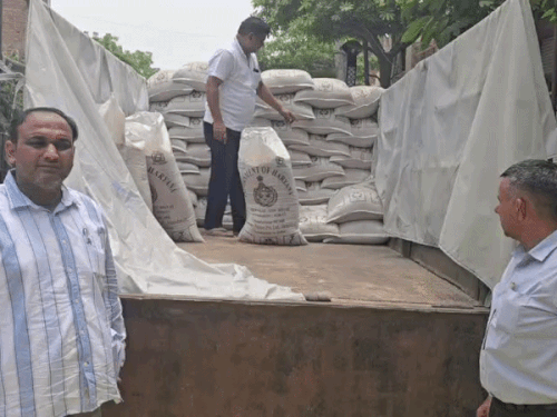 सोनीपत में सरकारी गेहूं की अवैध खरीद-फरोख्त का भंडाफोड़:आटा चक्की पर छापेमारी में 186 कट्टे बरामद; संचालक समेत 2 पर केस